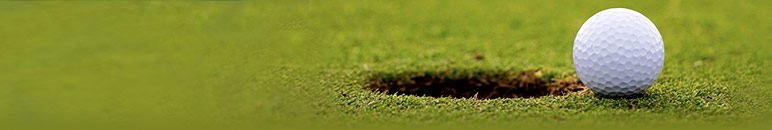 2011 CCA & CHOLHUA Golf Outing