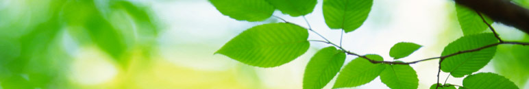 Small Wind Conference 2011