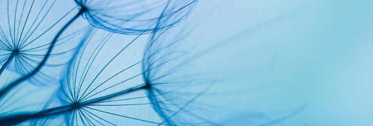 Developing Microphysiological Systems for Use as Regulatory Tools - Challenges and Opportunities Workshop