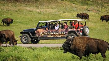 Attractions and Activities