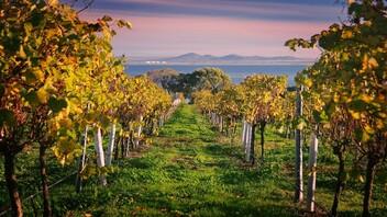 Mountains, Coast & Countryside