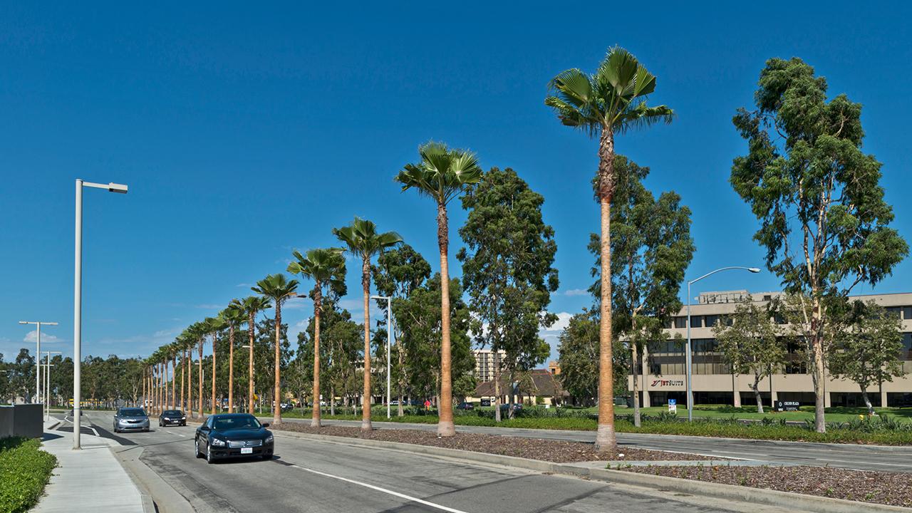 Public Transportation Information