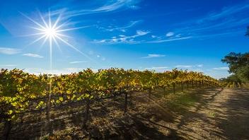 Wine Country Destination