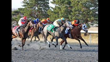 Turfway Park Racing & Gaming