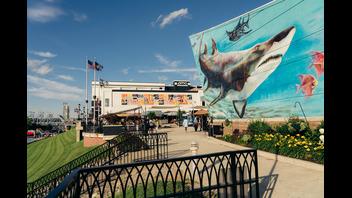 Newport On The Levee & Newport Aquarium