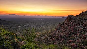 Wide Open Spaces with Plenty of Room to Roam