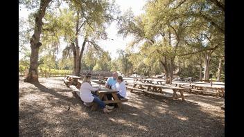 Adventure Courses at Indigeny Reserve