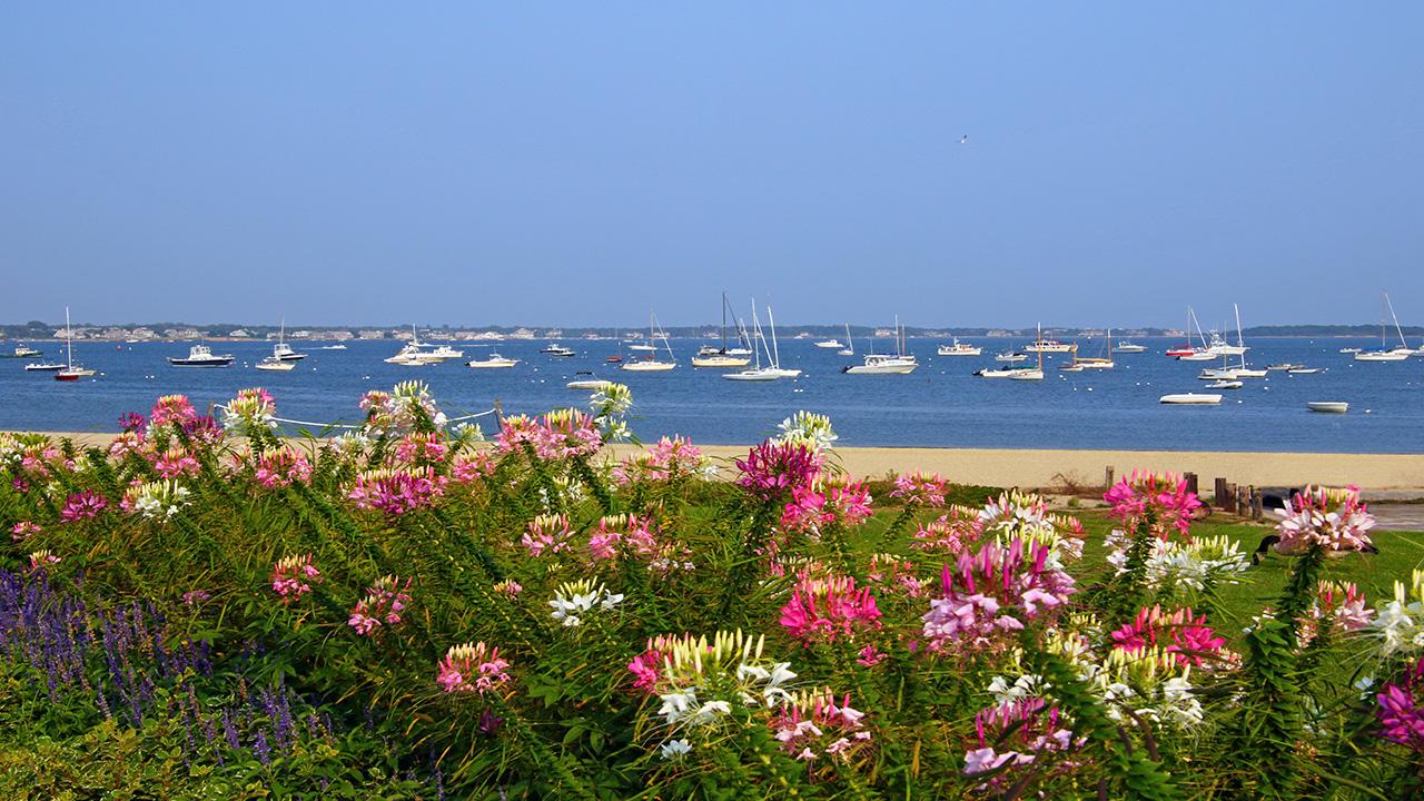 Cape Cod