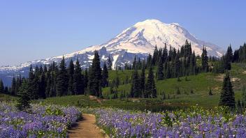 Mount Rainier National Park