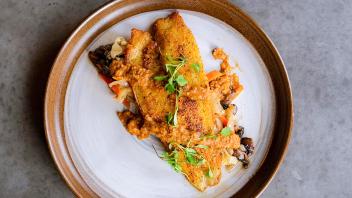 Discover a Bite of Southern Culture