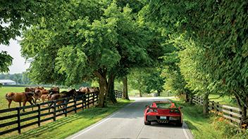 Lexington, KY | Centrally-located for your convenience.