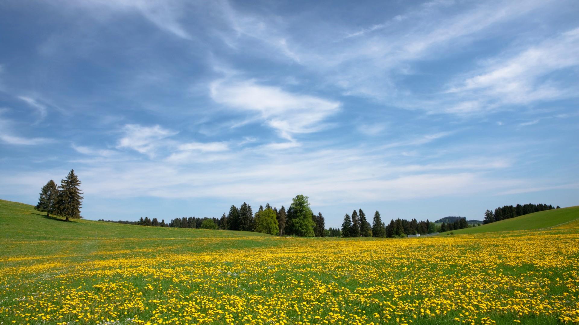 In the heart of the Pacific Northwest, Seattle offers a hip, urban culture with beautiful outdoor.