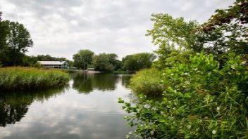 Haarlemmermeer Forrest