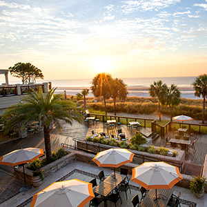 featured-article-300x300-nov-2016