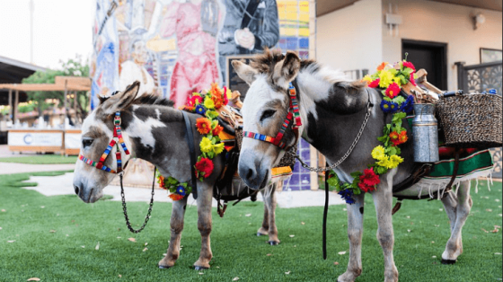 10 tips for community events 