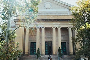 A person walks up the stairs to the entrance of the Freer Gallery of Art.
