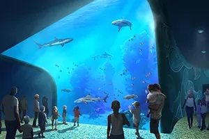 People gathered around a large aquarium with a variety of fish and sharks swimming around.
