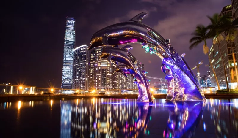 Three dolphins in the water in front of a city at night with buildings and palm trees.