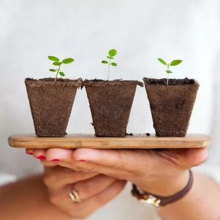 Woman holding three small plant pots in her hands to depict the concept of a sustainable future.