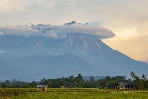 View of Mount Kinabalu with a cottage and lush trees on a field in Sabah, Malaysia.