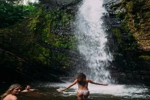 A woman in a bikini is standing in front of a waterfall in the jungle.