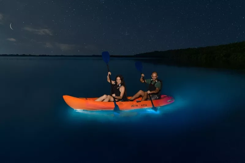 Kayakers paddle through the bioluminescent bay.