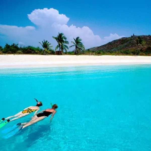 Two women are snorkeling in the water, while a beach and trees are seen in the background.