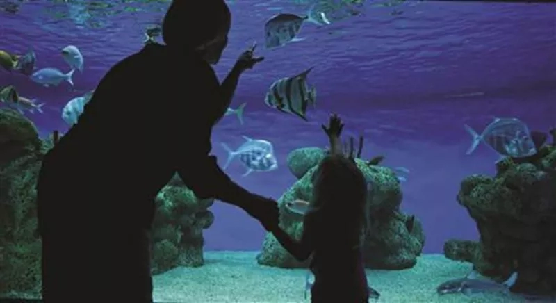 McWane Science Center