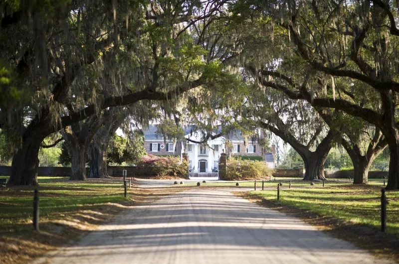 Visit Boone Hall Plantation