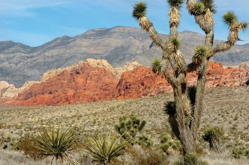 13-mile loop at Red Rock Canyon