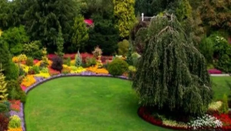 Queen Elizabeth Park