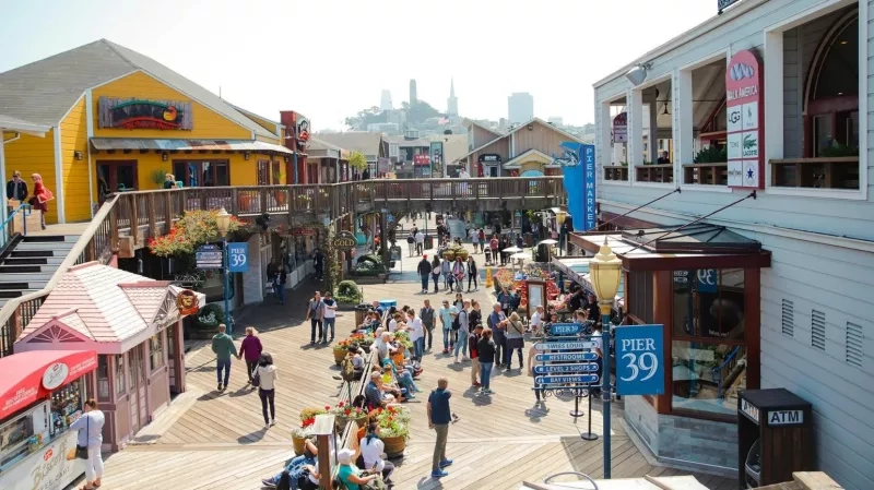 Watch the sea lions at Pier 39