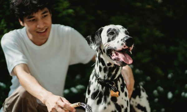 A man and his dog outside, with the dog wearing a tag that says "good boy".
