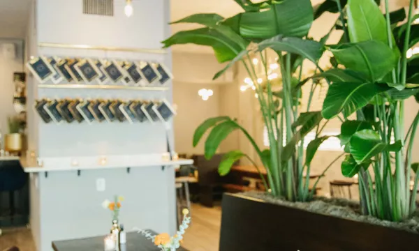 Error generating alt text