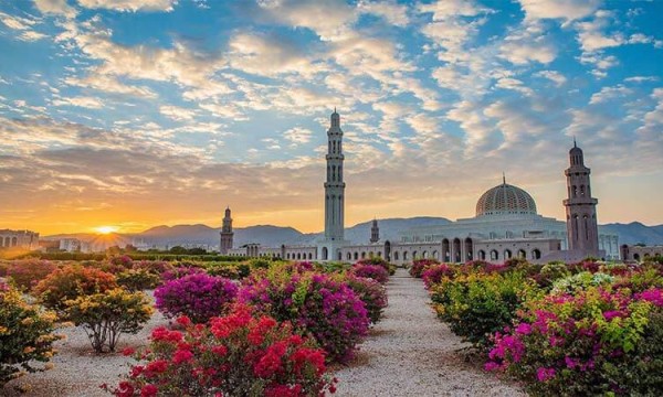 A scenic view of a mosque in Muscat, Oman, surrounded by flowers and plants during sunset.