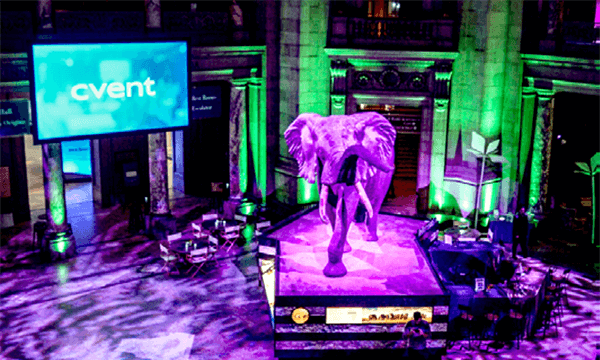 A purple elephant statue illuminated in green lights, with a large screen displaying "Cvent" in the background, set in an elegant venue.
