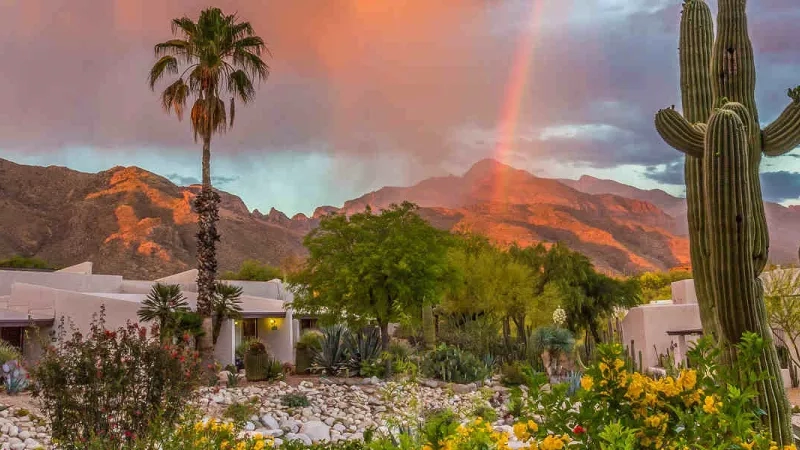 Panoramic view of the desert with cactuses, mountain ranges, and a rainbow in the sky.