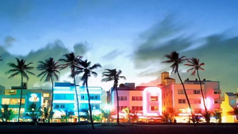 Night view of the Delano South Beach Hotel, with palm trees and buildings illuminated by colorful lights.