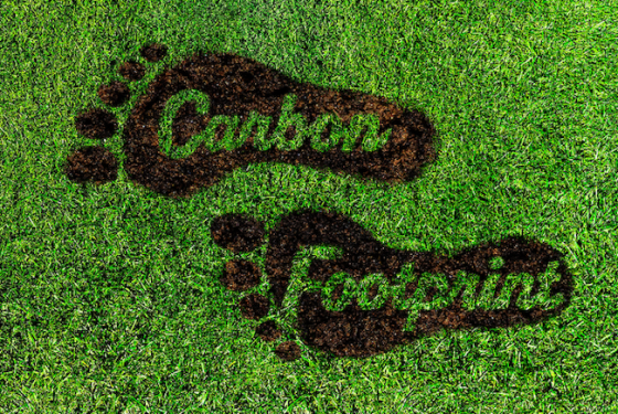 Carbon footprint written in the grass with two footprints made in the grass next to the words.