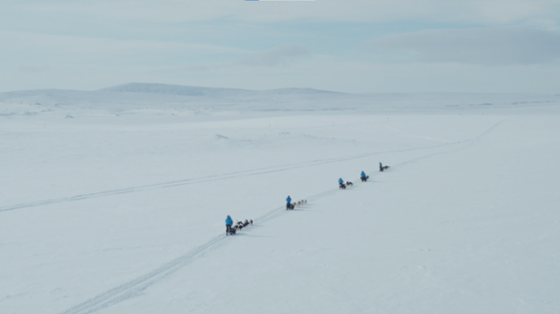 People walking in the snow with dogsleds in a row on a sunny day with mountains in the background.