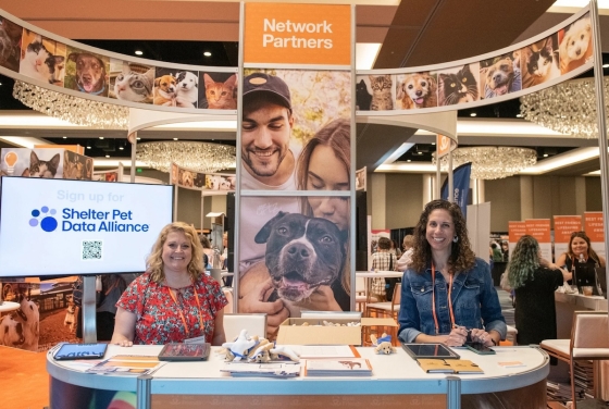 Two people stand behind a table with a sign behind them that reads "Network Partners."