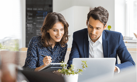 A man and woman working together on a laptop in an office with a potted plant in front of them.