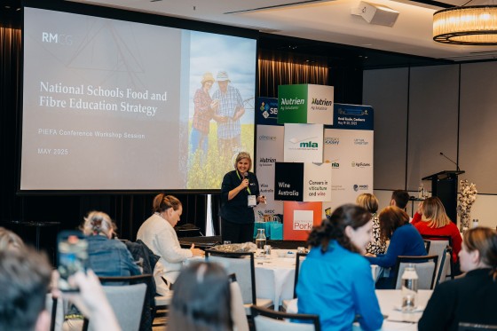 A women presenting at PIEFA event with audience watching