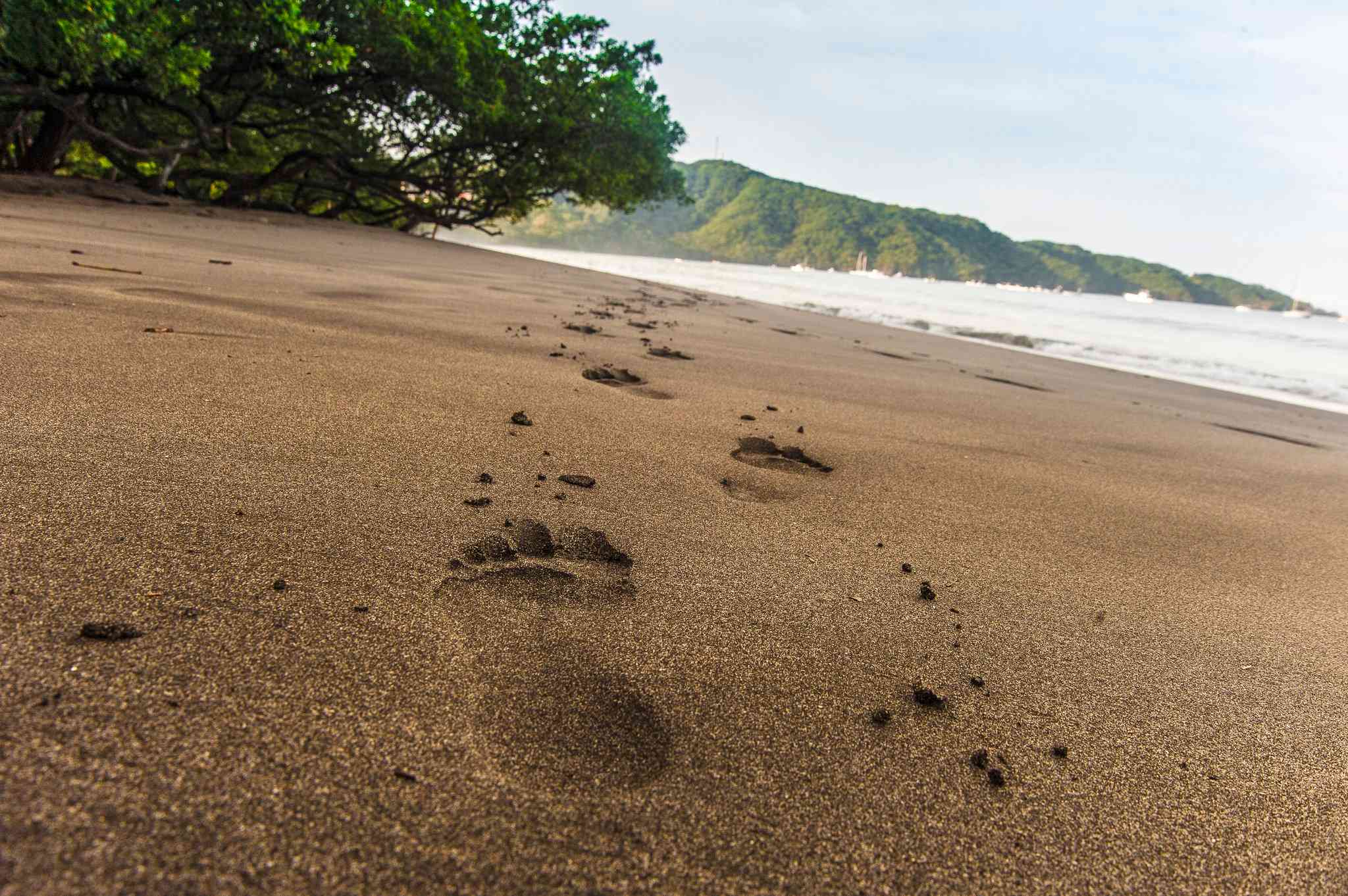 Villas Sol Hotel & Beach Resort a San Jose, CR