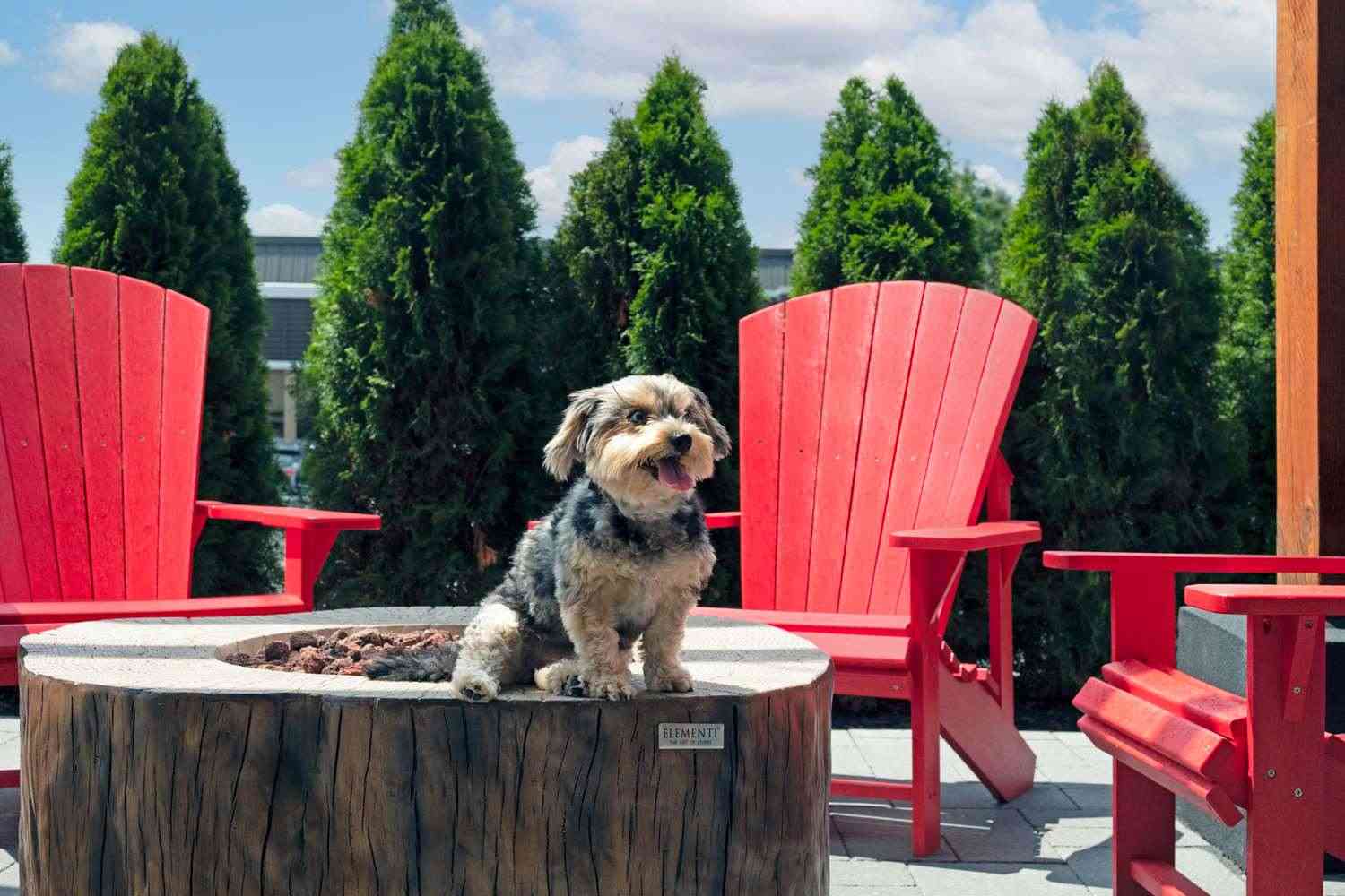 Home2 Suites by Hilton Huntsville в Huntsville, ON