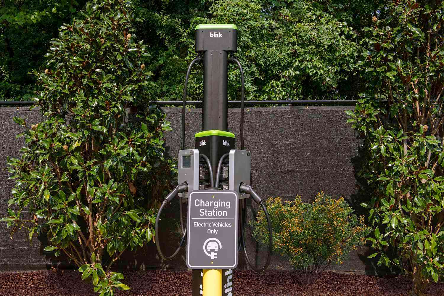 Homewood Suites by Hilton Greenville en Greenville, NC