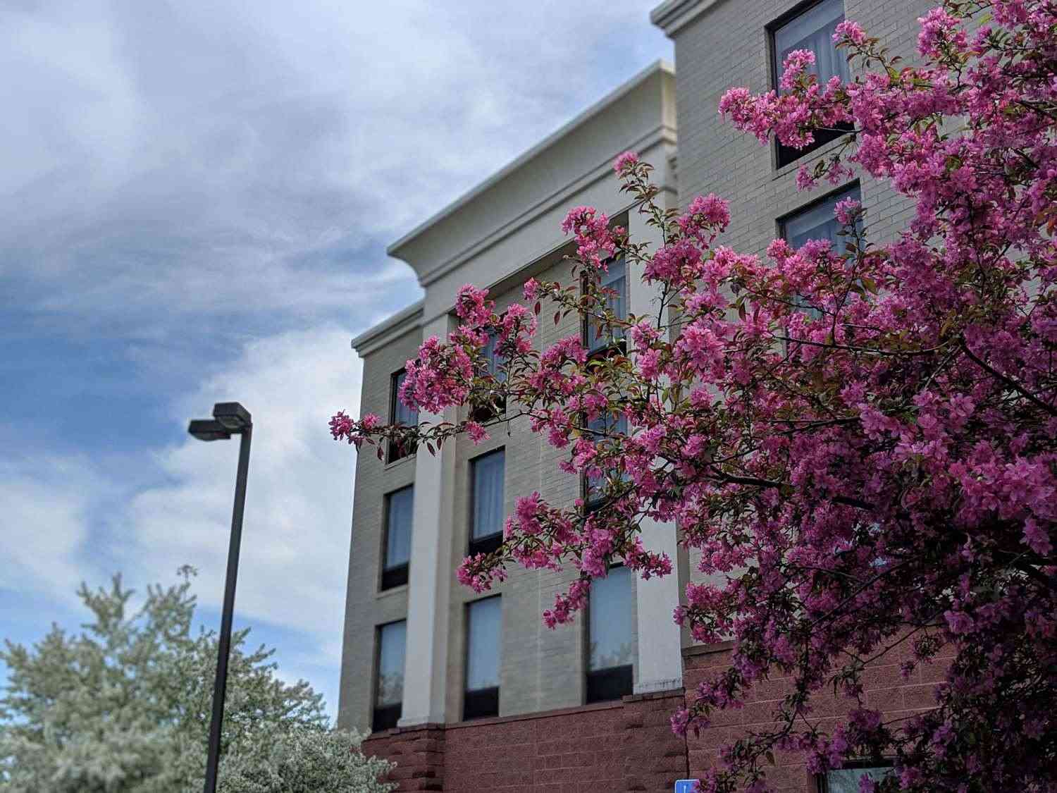 Hampton Inn & Suites Cincinnati-Union Centre en West Chester, OH