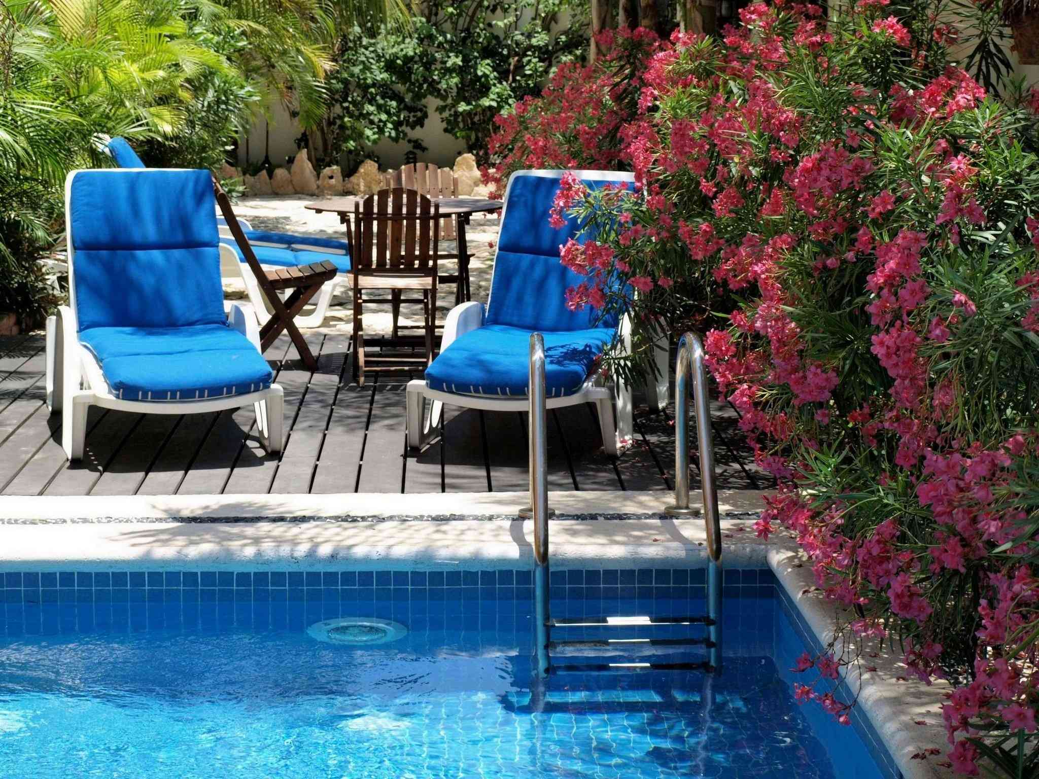 Hotel Las Golondrinas en Playa del Carmen, MX