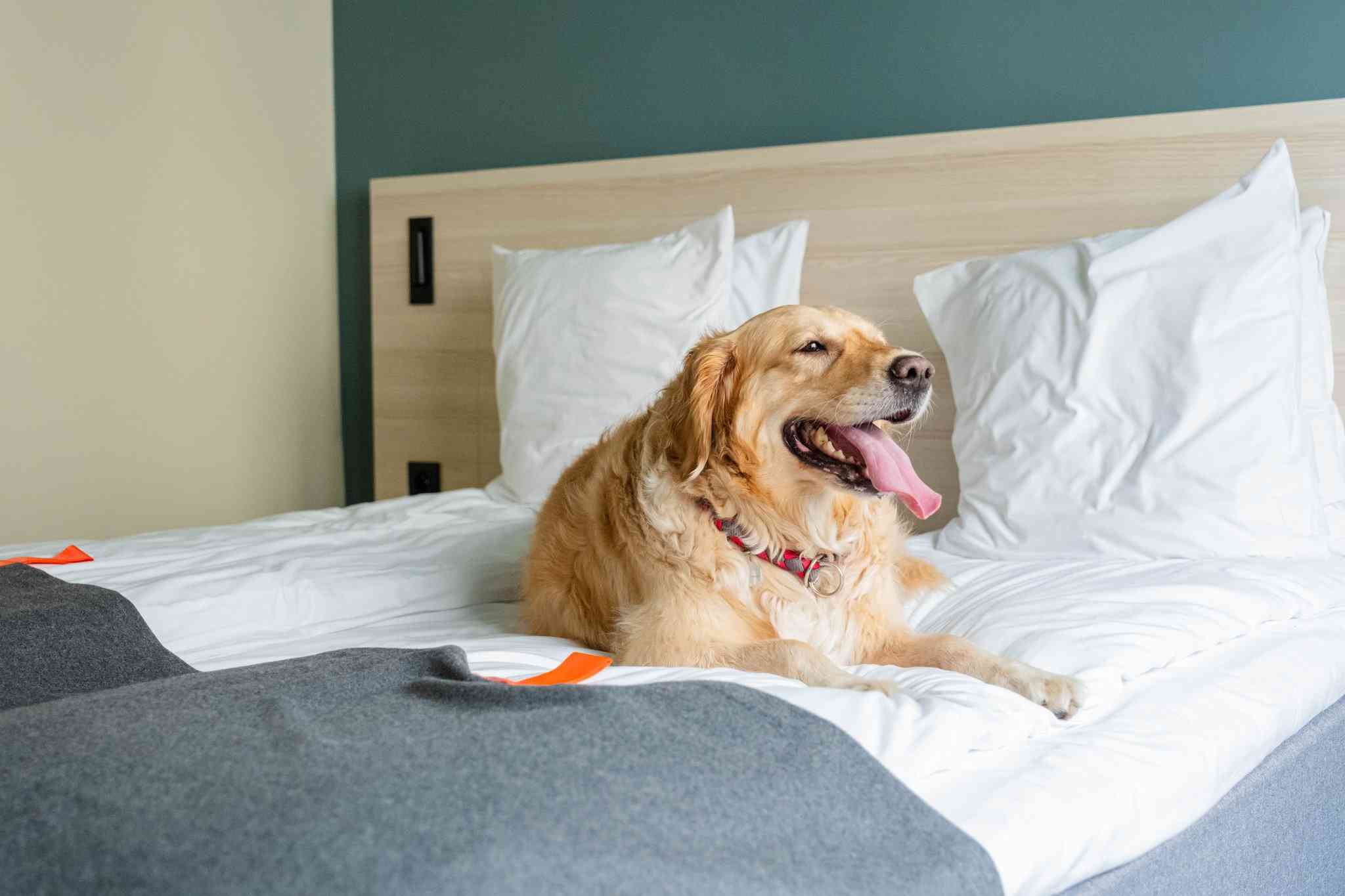 Citybox Hotels Brussels en Bruselas, BE