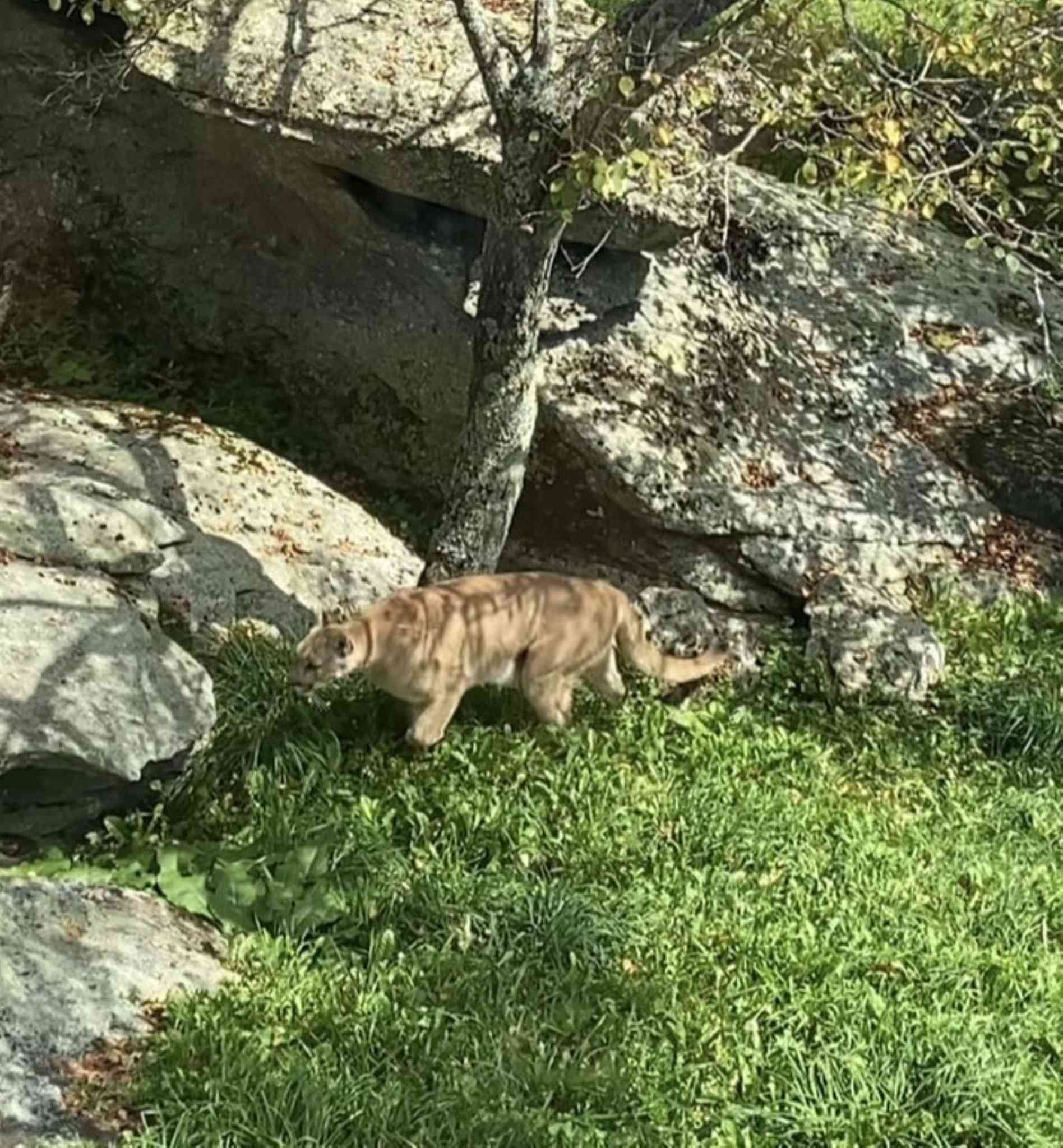 Holiday Inn Express Boone in บูน, NC